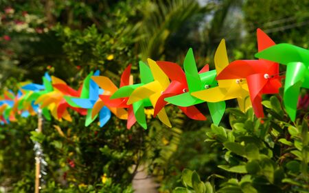 Colorful pinwheel for decoration at garden in Mekong Delta, Vietnam.