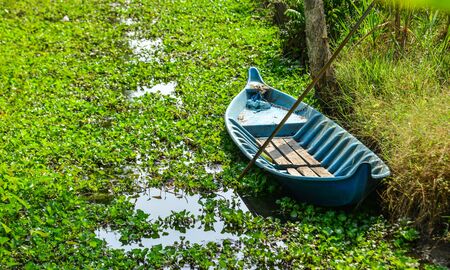 Rural scenery at summer in Mekong Delta, Southern Vietnam.の写真素材
