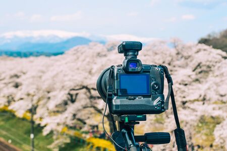 Miyagi, Japan - Apr 14, 2019. DSLR camera on the tripod with cherry blossom background.のeditorial素材