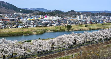 Miyagi, Japan - Apr 14, 2019. Aerial view of township with cherry blossom in Miyagi, Japan. Hanami (cherry blossom) is a cultural symbol of Japan, one of the events to attract tourists.のeditorial素材