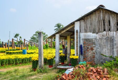 Ben Tre, Vietnam - Jan 18, 2020. Rural house with Marigold flower field at spring time in Mekong Delta, Vietnam.のeditorial素材