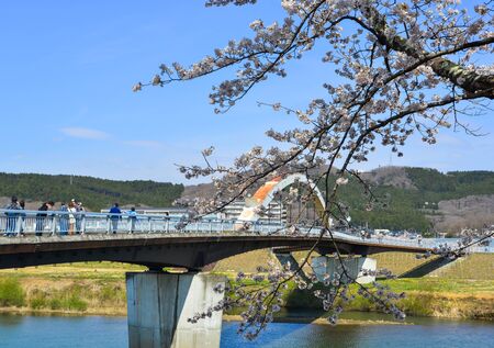 Miyagi, Japan - April 14, 2019. Cherry blossom at riverbank park of Shiroishi River in Miyagi, Japan. Hanami (cherry blossom) is a cultural symbol of Japan, one of the events to attract tourists.のeditorial素材