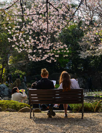 Tokyo, Japan - Apr 7, 2019. People enjoying cherry blossom (hanami) at the park. Hanami festivals drive billions into the economy as tourists flock to see the beautiful blossoms.のeditorial素材