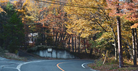 Path through the autumn forest in Kusatsu Onsen Town, Japan.