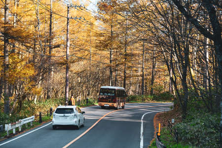 Gunma, Japan - Nov 8, 2019. Path through the autumn forest in Kusatsu Onsen Town, Japan.のeditorial素材