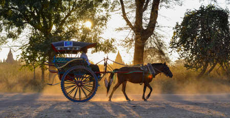 Bagan, Myanmar - Feb 4, 2017. Horse carriage traveling on the dusty road, in the brilliant sunset sun. Horse carriage is one of the activities attracting tourists in Bagan.のeditorial素材