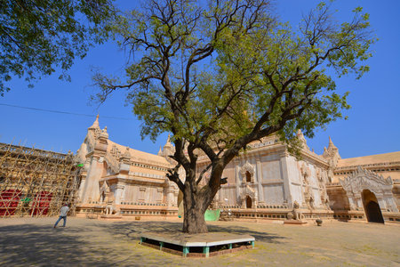 Ancient Buddhist temple in Bagan, Myanmar. It is estimated that over 10,000 Buddhist temples and pagodas once stood on the Bagan plain.のeditorial素材