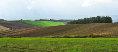 Beautiful rural scenery of Furano, Japan. Furano known for the pleasant and picturesque rural landscapes.の写真素材