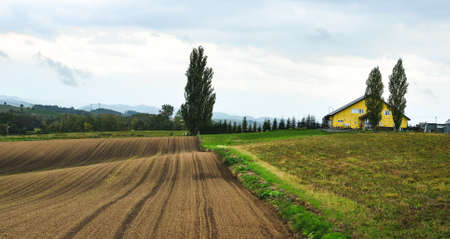 Beautiful rural scenery of Furano, Japan. Furano known for the pleasant and picturesque rural landscapes.の写真素材