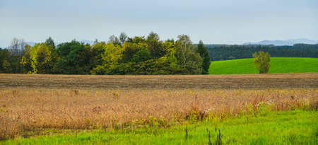 Beautiful rural scenery of Furano, Japan. Furano known for the pleasant and picturesque rural landscapes.の写真素材