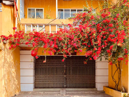 Ancient house of Hoi An, Vietnam. Hoi An was a busy port city during the Nguyen Dynasty, and is a tourist attraction in Vietnam today.のeditorial素材