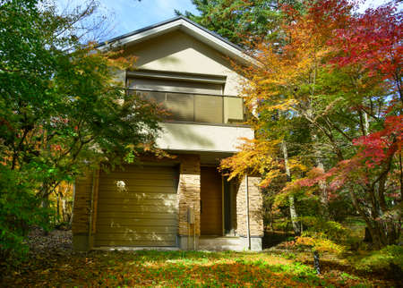 Beautiful countryside autumn scene in Karuizawa, Japan. Karuizawa is an upmarket mountain resort at the foot of the active volcano Mount Asama.のeditorial素材
