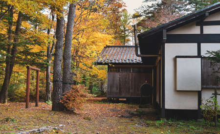 Beautiful countryside autumn scene in Karuizawa, Japan. Karuizawa is an upmarket mountain resort at the foot of the active volcano Mount Asama.のeditorial素材