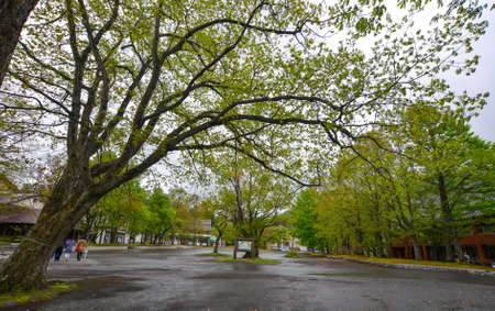 Aomori, Japan - May 16, 2017. Shop stores nearby Towada Lake in Aomori, Japan. The lake is well known for its autumn colors especially around the Oirase Stream.のeditorial素材