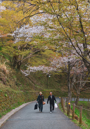 Nara, Japan - Apr 12, 2019. People walking under cherry flowers in Yoshino, Nara, Japan. The annual cherry blossom festival is a cultural tradition for thousands of years in Japan.のeditorial素材