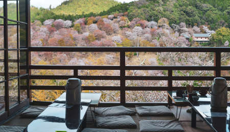 Beautiful view of the cherry blossom forest, seen from a coffee shop in Yoshino, Nara, Japan.の写真素材