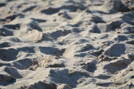 Beach in summer at Ostend (Belgium)