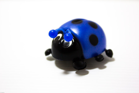 Insect ladybug blue on a white background の写真素材