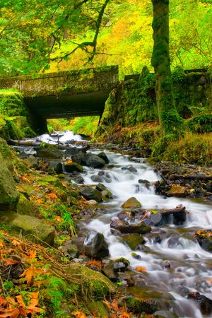 Wahkeena Creekの写真素材