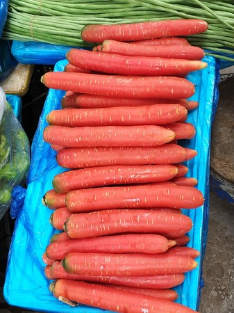 red carrotの写真素材