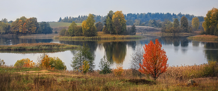 Golden autumn. On the lake a bright yellow and red trees. In the water reflection. On the horizon haze. Illustration, calendar, any design.の写真素材