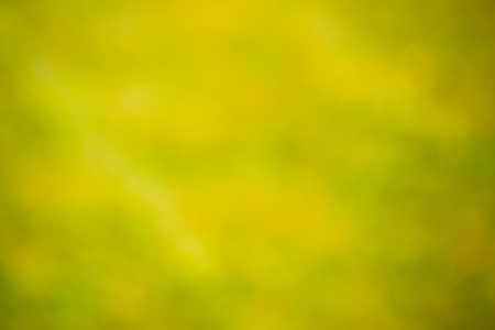 Natural yellow - orange background with blurred bokeh and sunlight. For any design, Wallpaper.の写真素材