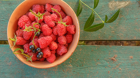 Raspberries and black currants have been collected and lie in ceramic bowl. A bowl of berries is...