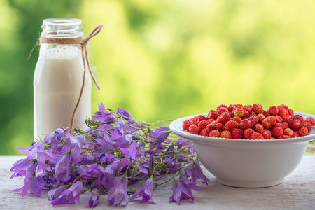 Wild strawberries, bluebells flowers, milk on green background. Summer still life. Plenty of space for text. Wallpaper, illustration.の写真素材