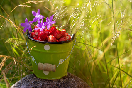 A sunlit bowl of fresh strawberries on a rock with a summer foliage in the background. The concept of summer, vacation, pleasure, healthy food.の写真素材