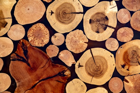 Fragment of a wooden table-top made by hand. Polished and lacquered oak and willows with a...
