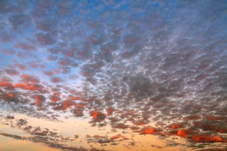 Photo of a fiery sky at sunset. White-pink and fiery clouds on the blue sky. Suitable for any design.の写真素材
