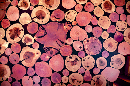Fragment of a wooden table-top made by hand. Polished and lacquered oak and willows with a structure. The background consists of spits of trees. The spili have different shapes. For any designの写真素材