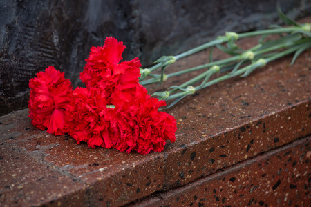 Red carnation. Background of red flowers. Red carnations lie on the red granite surface. Carnations as a symbol of memory, sorrow, sadness. Selective focus. Outdoor. Copy space.の写真素材