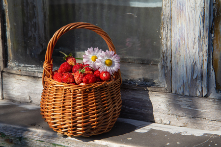 A full basket of freshly picked wild strawberries and Daisy flowers stands on the windowsill of an abandoned house. Rustic style. The concept of summer, rest, pleasure, healthy eating. Copy spaceの写真素材