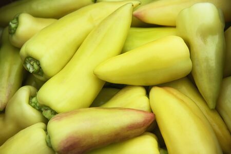 there is a yellow oblong bell pepper. Lots of sweet pepper for background. Vegetable growing, agriculture. Fresh yellow bell pepper background on the market for sale.の写真素材