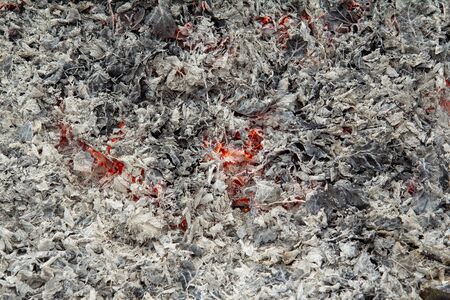The gray background or texture is represented as ashes from burnt leaves on the edges and smoldering...