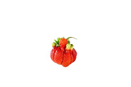 One red strawberry Asia irregular shape isolated on white background, close upの写真素材