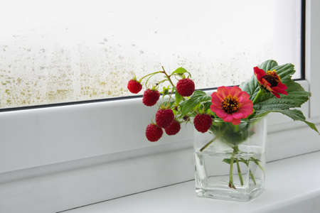 On the windowsill is a bouquet of sprigs of fresh raspberries and red flowers. Flowers zinnias and a branch of a raspberry in the glass. Copy spaceの写真素材