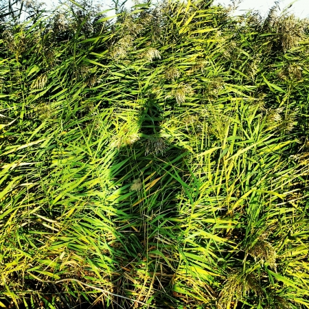 Shadow of a manの素材