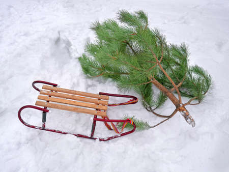 new year trees and sleigh on snow, christmas mood, closeup
