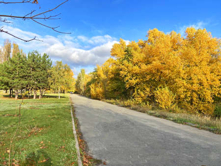 alley in a park with colorful yellow, red and green trees, blue sky with clouds and sunlight in...