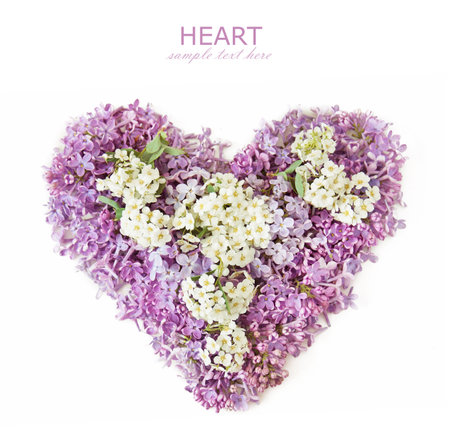 heart from fresh lilac flowers isolated on white background, closeupの写真素材