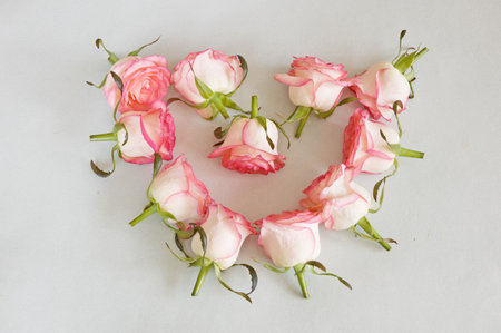 pink pale floral background with roses bunch on table, roses bunch with blank paper card and heart, top view. mock up for greeting, closeupの写真素材