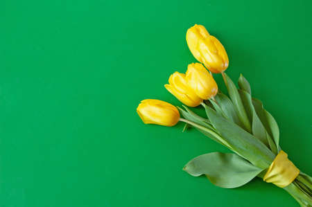 beautiful tulips flowers bouquet on green backgroundの写真素材