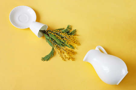 mimosa yellow flowers, plate and jar on yellow background,の写真素材