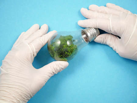 Light bulb with greem plant inside, green energy concept, closeupの写真素材