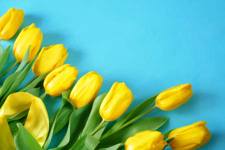 tulips bouquet on white backgroundの写真素材