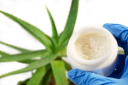 Aloe Vera plant and cream cosmetic, herbal medicine for skin treatment and use in spa for skin care. Herb in nature, closeupの写真素材