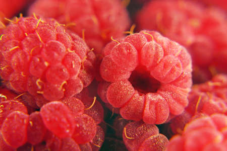 Fresh raw ripe red raspberry, closeup