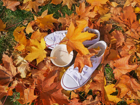 white sneakers and cup of coffee on lawn with brught autumn leaves, autumn mood concept, flay lay, closeupの写真素材